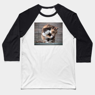 The Cat Baseball T-Shirt